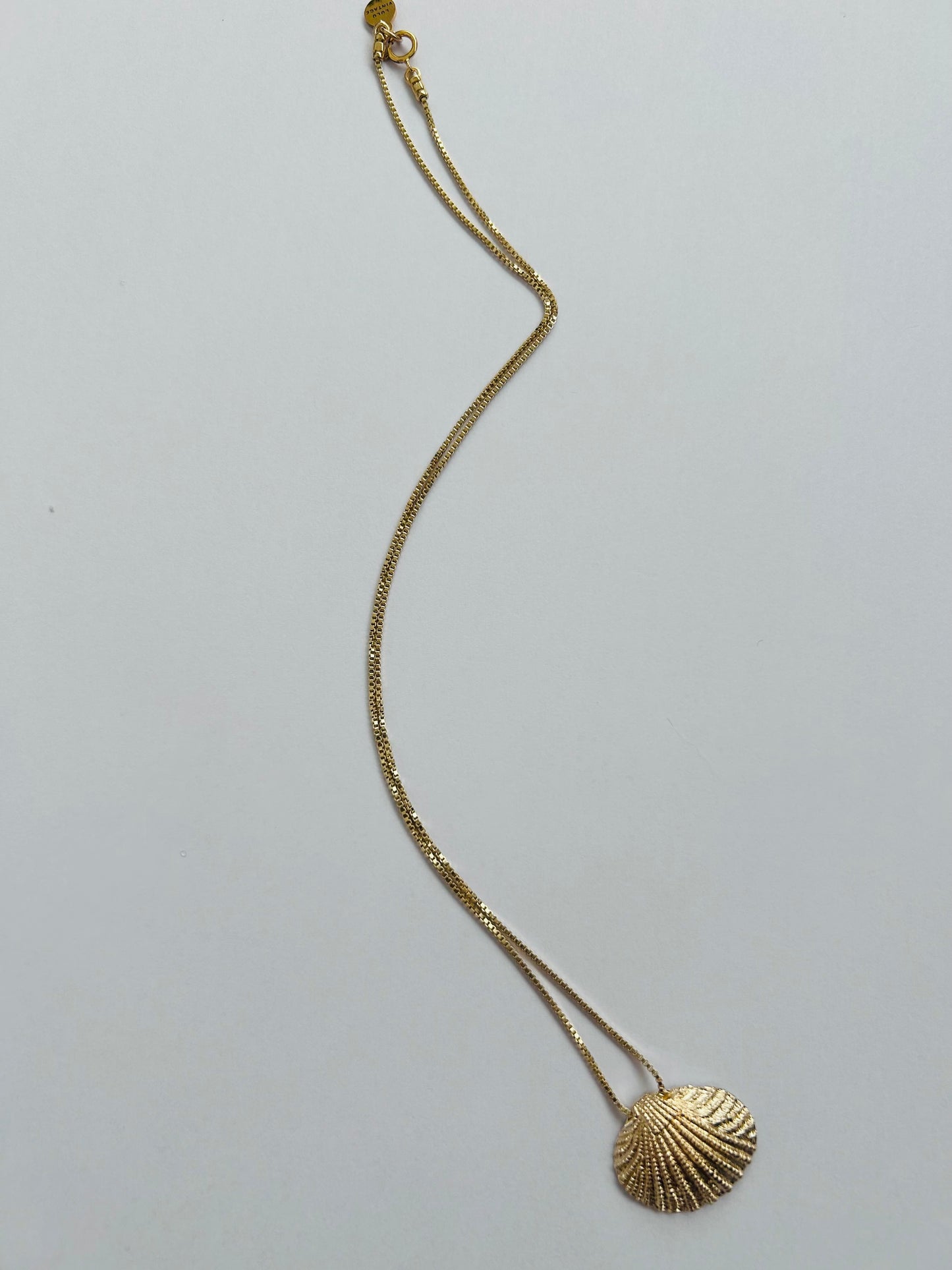 Seashell pendant necklace