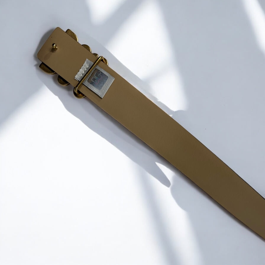 Dolce & Gabbana Metalic belt