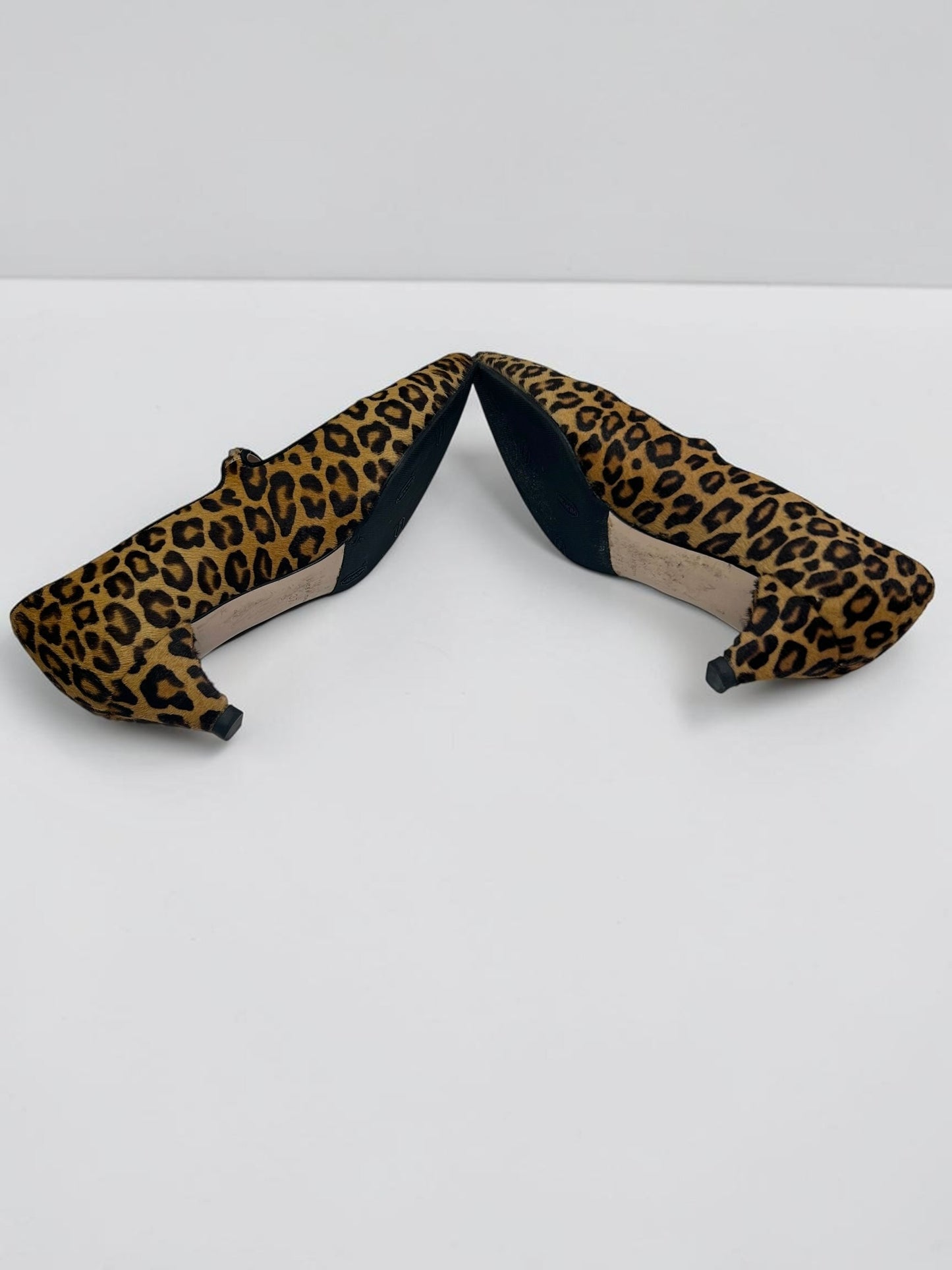 Miu Miu Leopard Print Calf Hair Kitten Heel Pumps|2010
