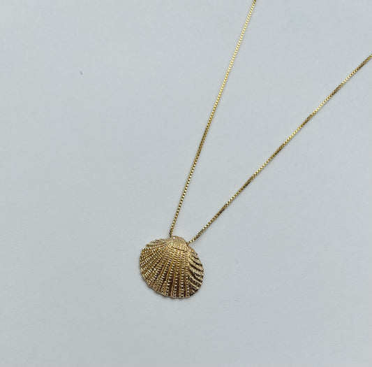Seashell pendant necklace
