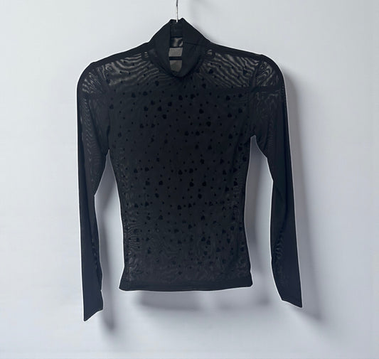 Sheer Mesh Long Sleeve Top